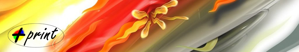 Banner Maisprint